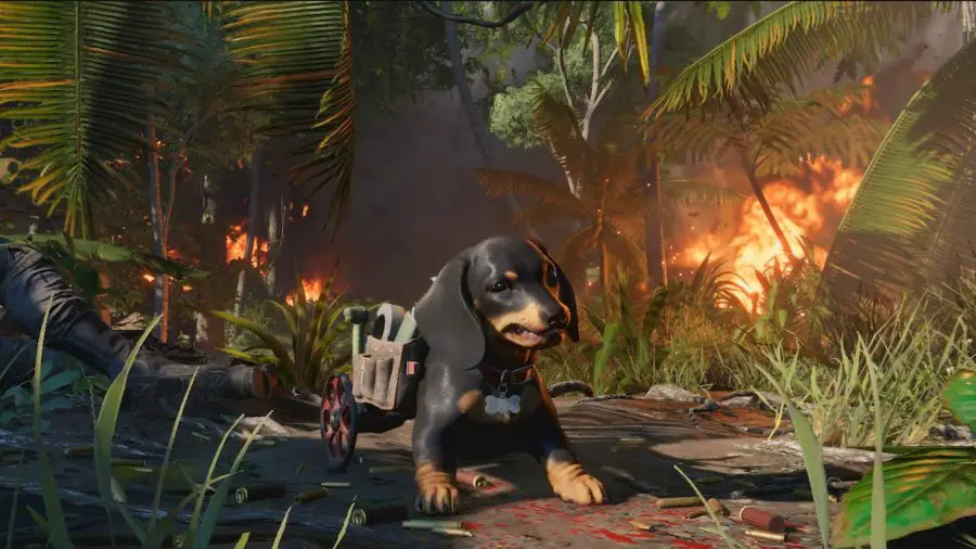 Chorizo, un adorable perro salchicha que ha perdido sus cuartos traseros y ahora se mueve en una silla de ruedas en miniatura, es uno de los amigos del jugador en Far Cry 6
