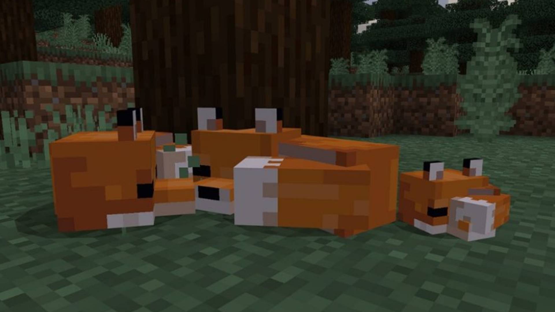 Průvodce Minecraft Fox: Jak zkrotit lišku v Minecraftu