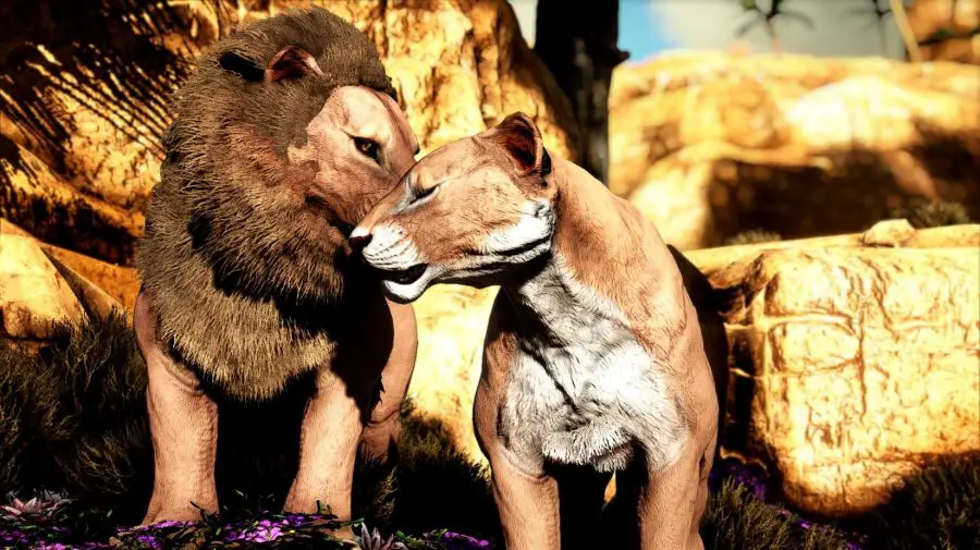 Alcuni leoni nel mod Marniimods Wildlife per Ark Survival Evolved.
