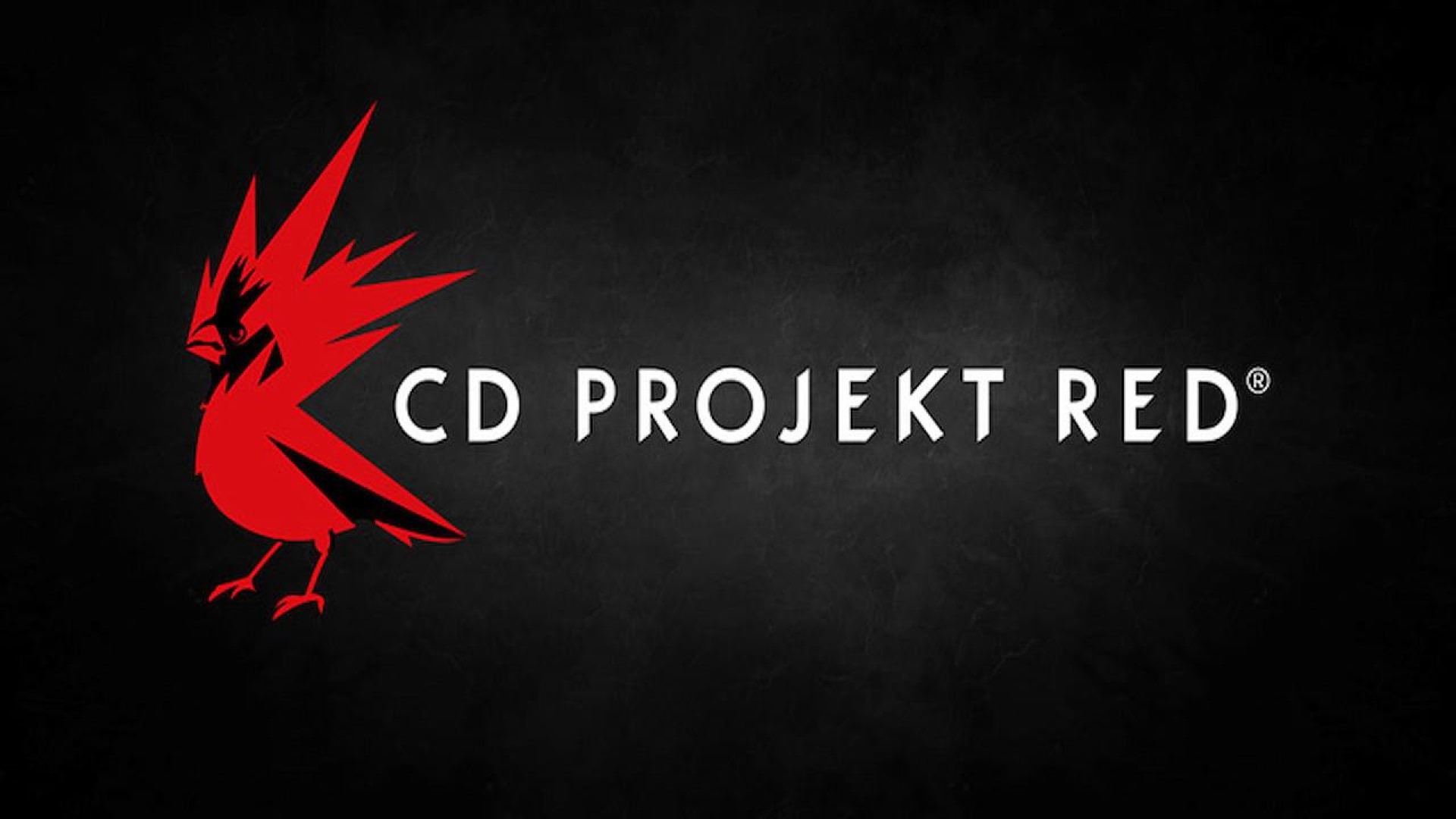 cd design červeného loga