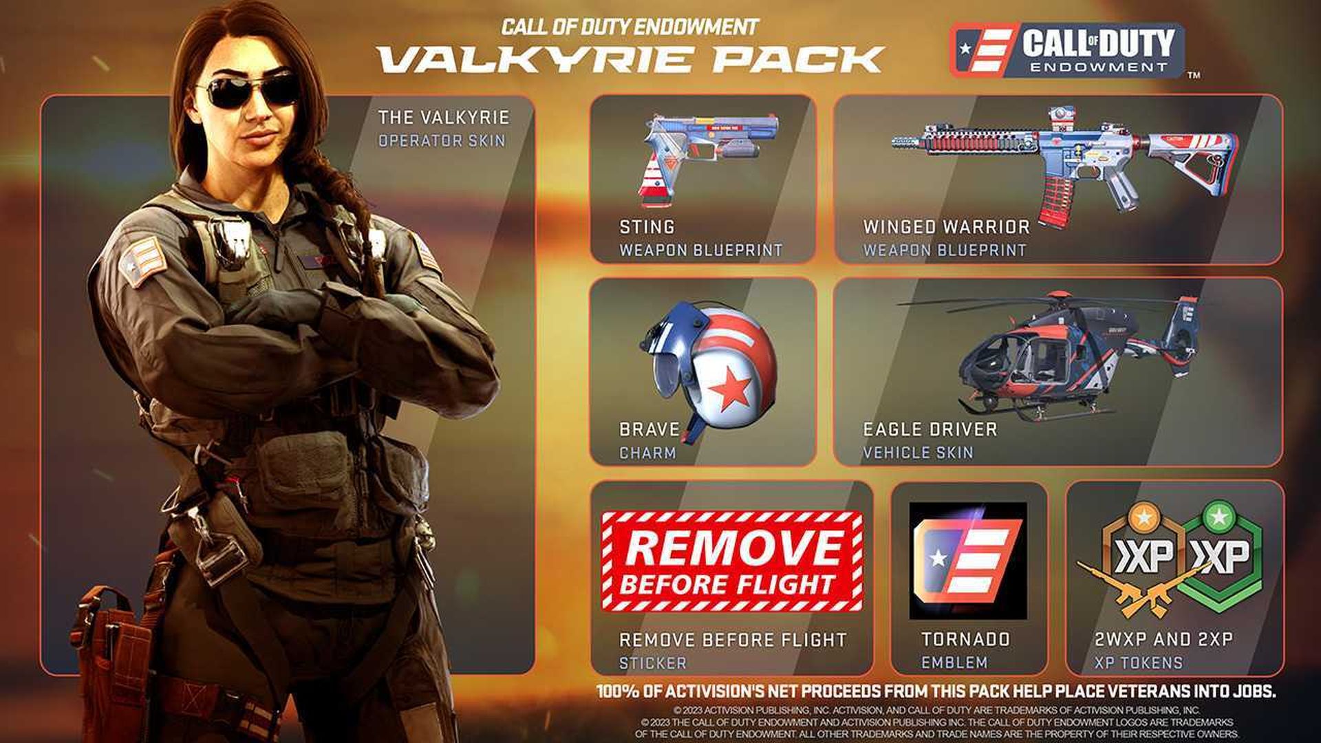 Pack Valkyrie CODE 