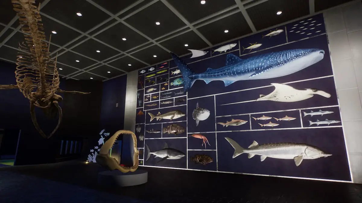 Una gamma di accessori per pesci su una parete del pacchetto Planet Zoo Aquaria.