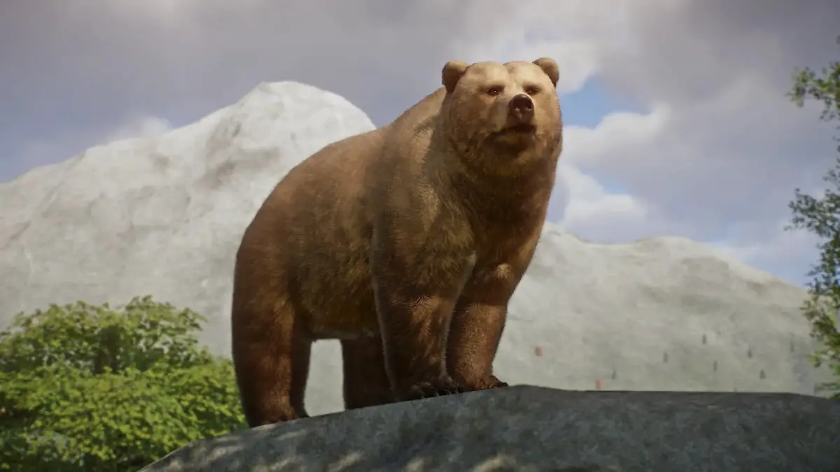 Upravený model medvěda Planet Zoo z modu Grizzly Bear Remaster a New Variants.