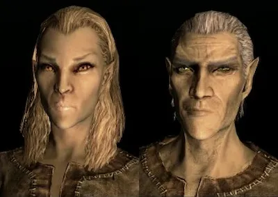 Elfo alto femminile e maschile di Skyrim noto come Altmer