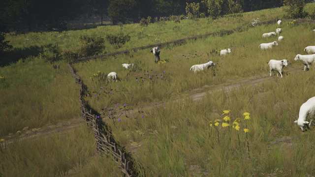 Schafe grasen im Herrenhaus