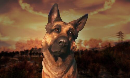 El mejor amigo del hombre en el desierto: por qué la carne de perro gobierna el universo Fallout